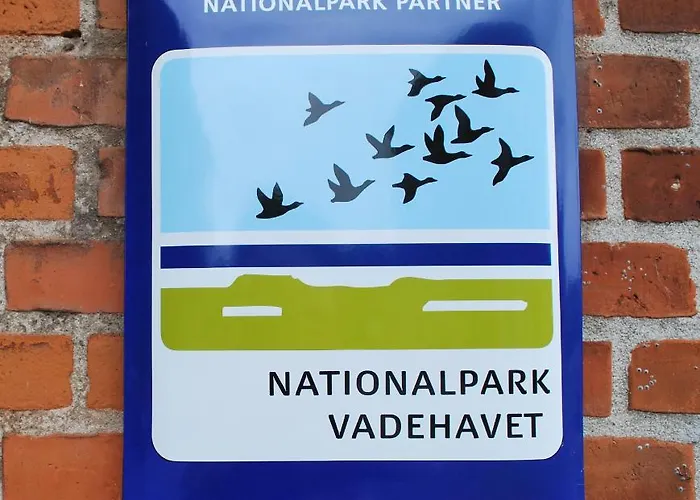 לינה וארוחת בוקר Bed & Kitchen I *